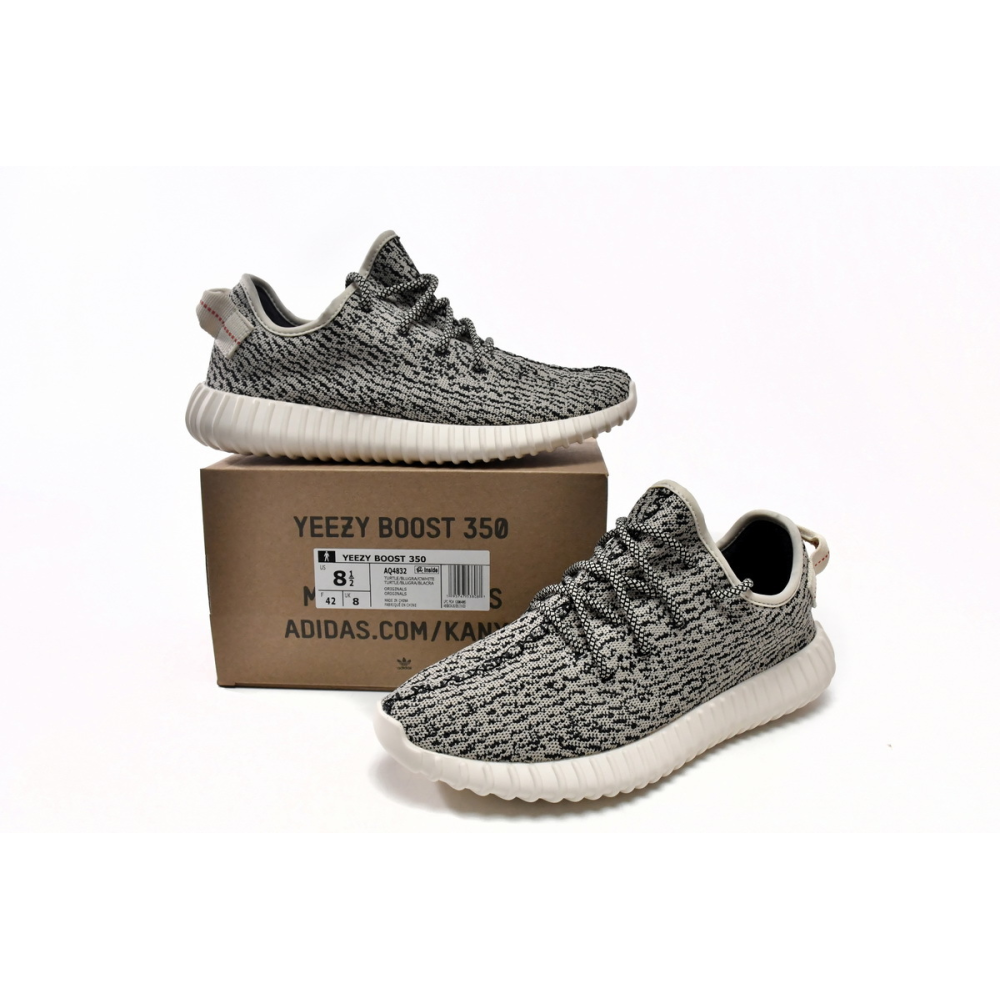 Yeezy Boost 350 Turtle Dove Aq4832