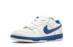 Dunks Low SB “Medicom”