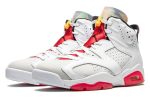 Jordan 6 “Hare”