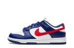 Nike Dunk Low “USA”