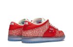 Stingwater x Nike SB Dunk Low “Magic Mushroom”