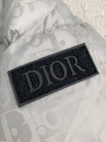 Dior SS23 Men's Down Jackets