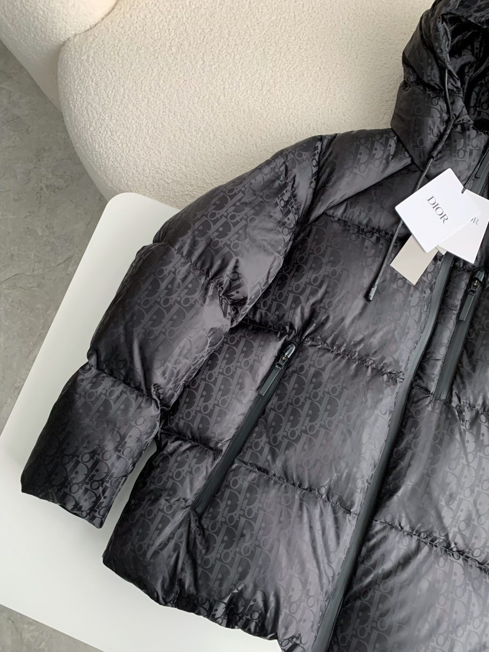 DIOR Logo Printed Down Jacket